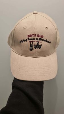 BatsQld Cap