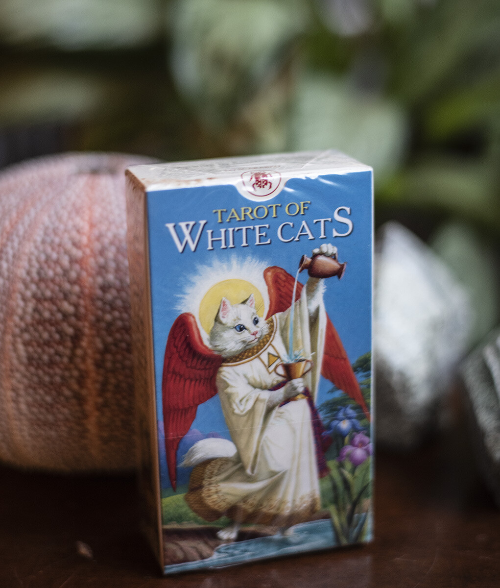 Tarot of white cats