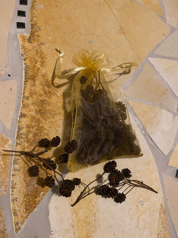 Erlenzapfen / Aldercones (25g)