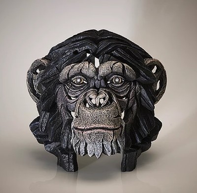 Chimpanzee