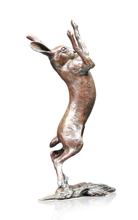 Medium Hare Boxing