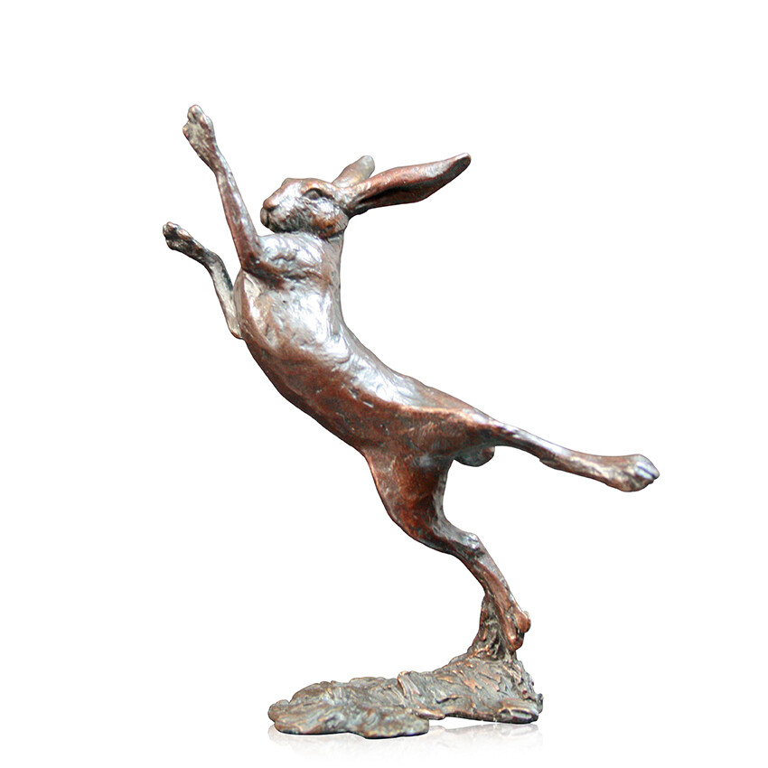 Small Hare Boxing