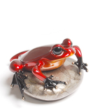 Frogs £500 - 900