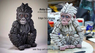 Gorilla - Baby