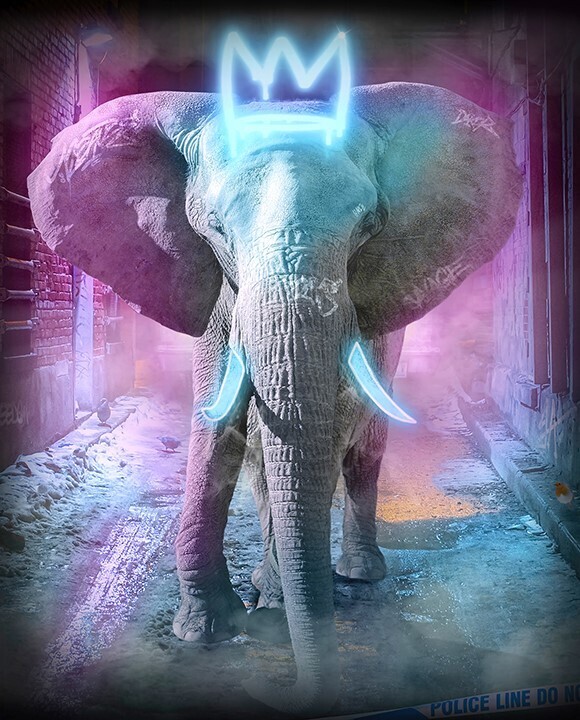 Young Bull ( Neon Blue, Pink or Yellow )