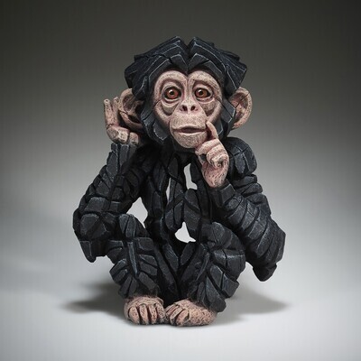 Chimpanzee Wise Baby Single Purchase
