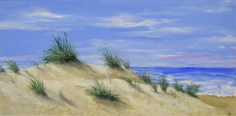 Follow The Dunes