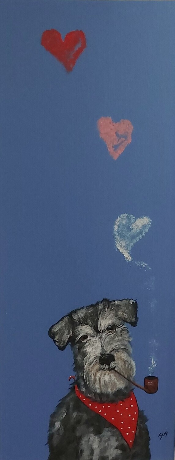 Love Schnauzer