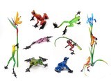 Frogs By Colour