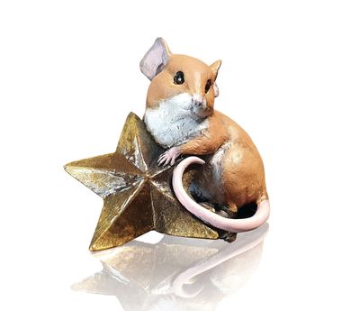 Little Star