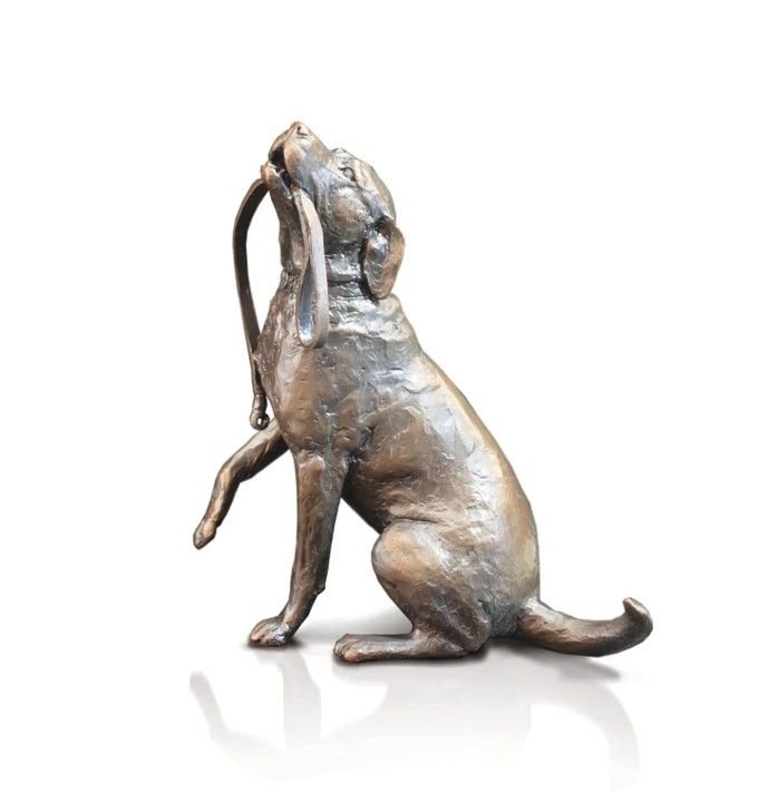 Labrador with Lead