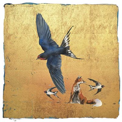 In The Spring Comes The Swallow