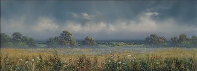 Wild Meadow