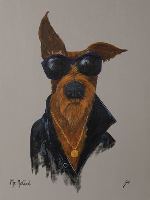 Mr McCool (limited edition)