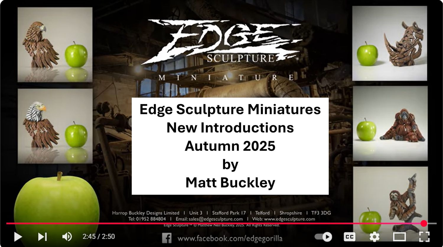 NEW MINI EDGE - PAY DEPOSIT