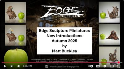 NEW MINI EDGE - PAY DEPOSIT