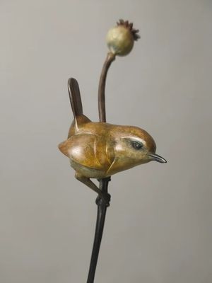 Wren on Poppy