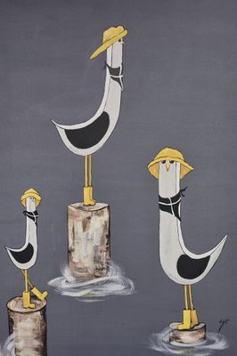 Seagulls in Sou'westers