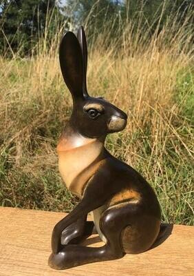 Sitting Hare Study