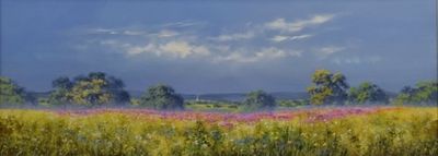 Around The Fields