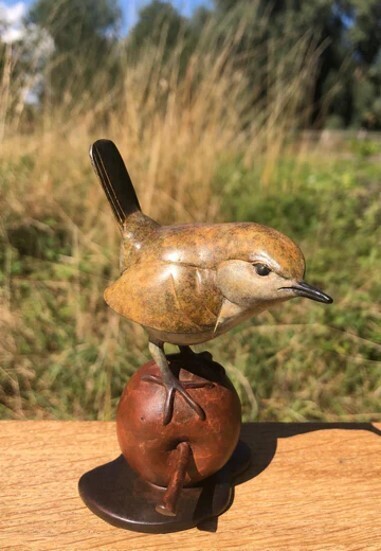 Wren on Bronze Apple