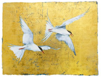 Tern