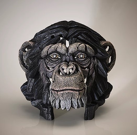 Chimpanzee