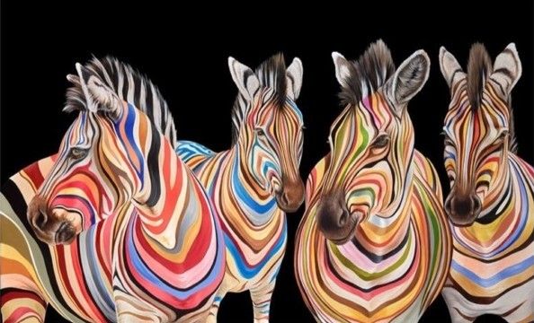 The Savannah Stripes