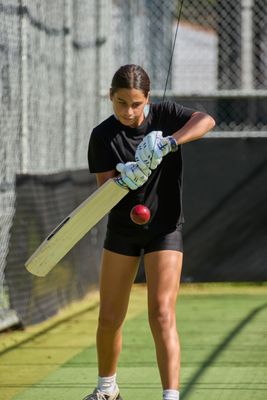 Cricket