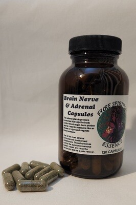 Brain Nerve and Adrenal Capsules