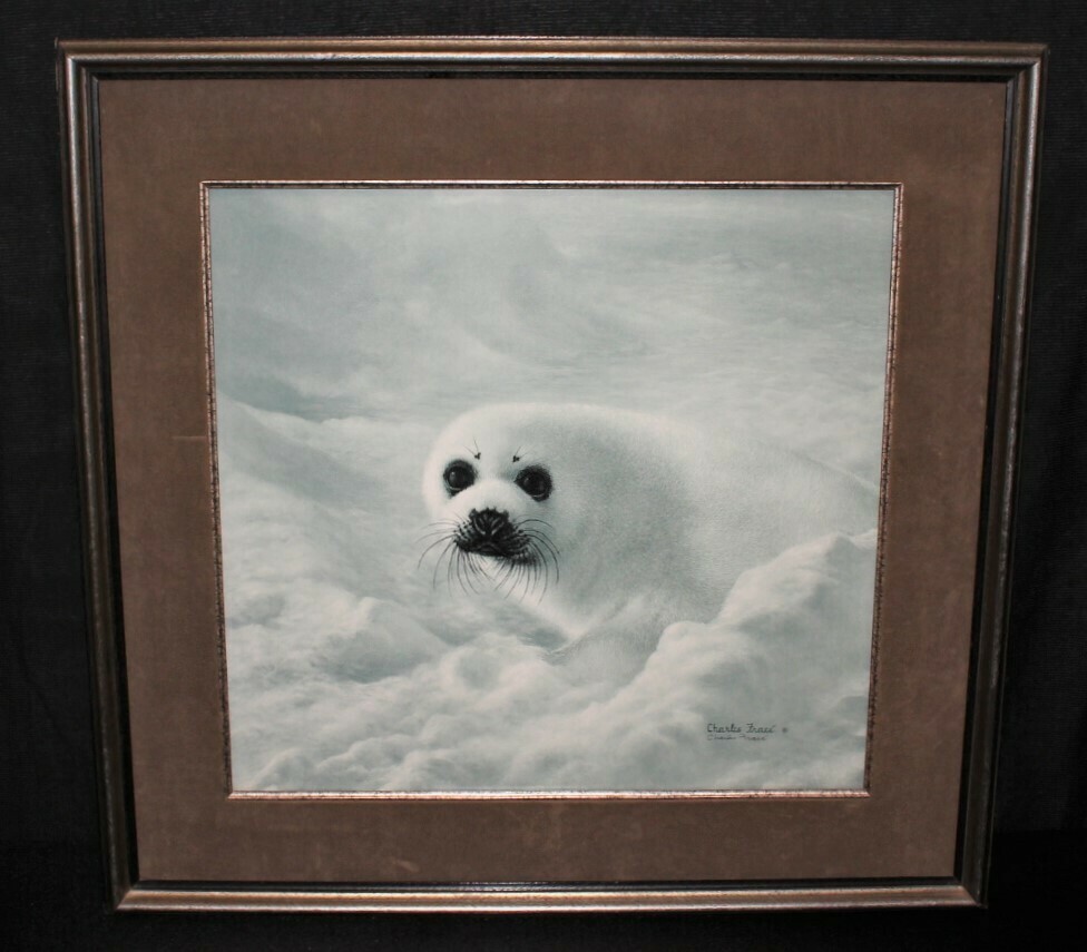 Charles Frace Baby Harp Seal Limited Edition 28 x 27 Framed Print, Signed