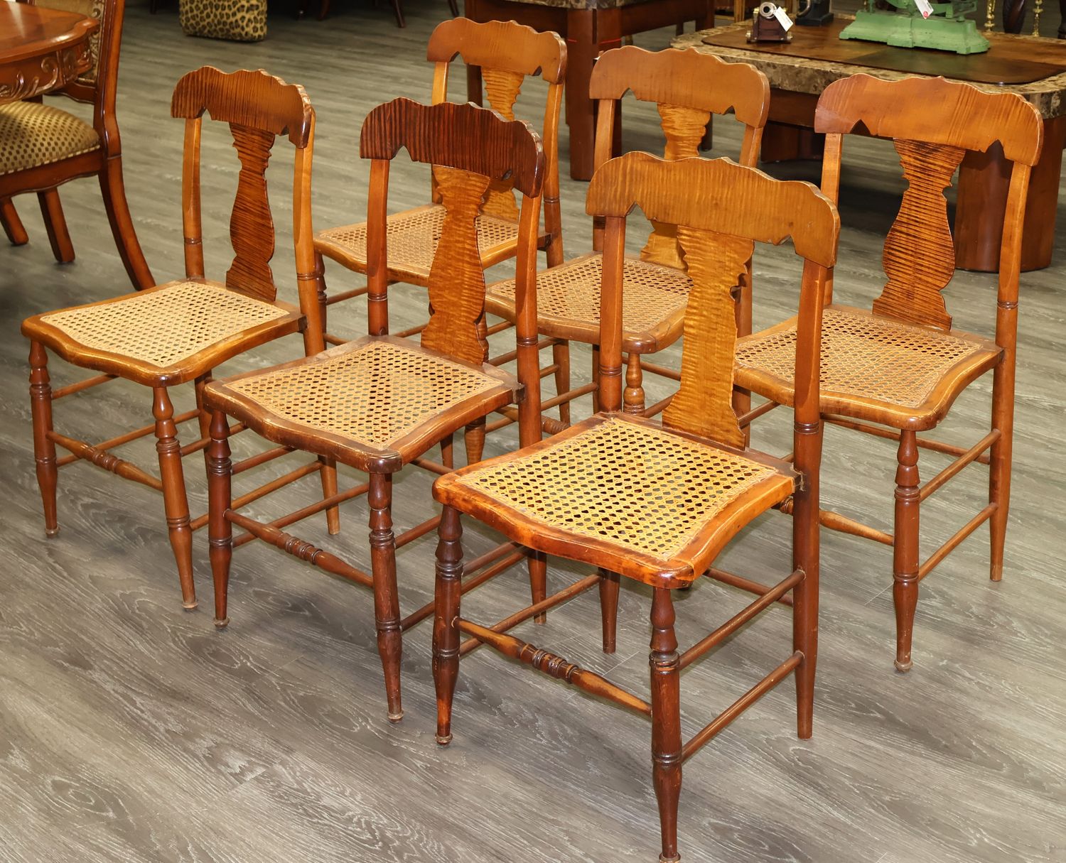 Set of 6 Antique 19th Century Tiger Birdseye Maple Fiddleback Cane Chairs