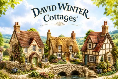 David Winter