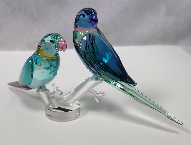 Swarovski Crystal Jungle Beats Parakeet Couple Figurine Fife &amp; Fifer 5577124 | Original Box