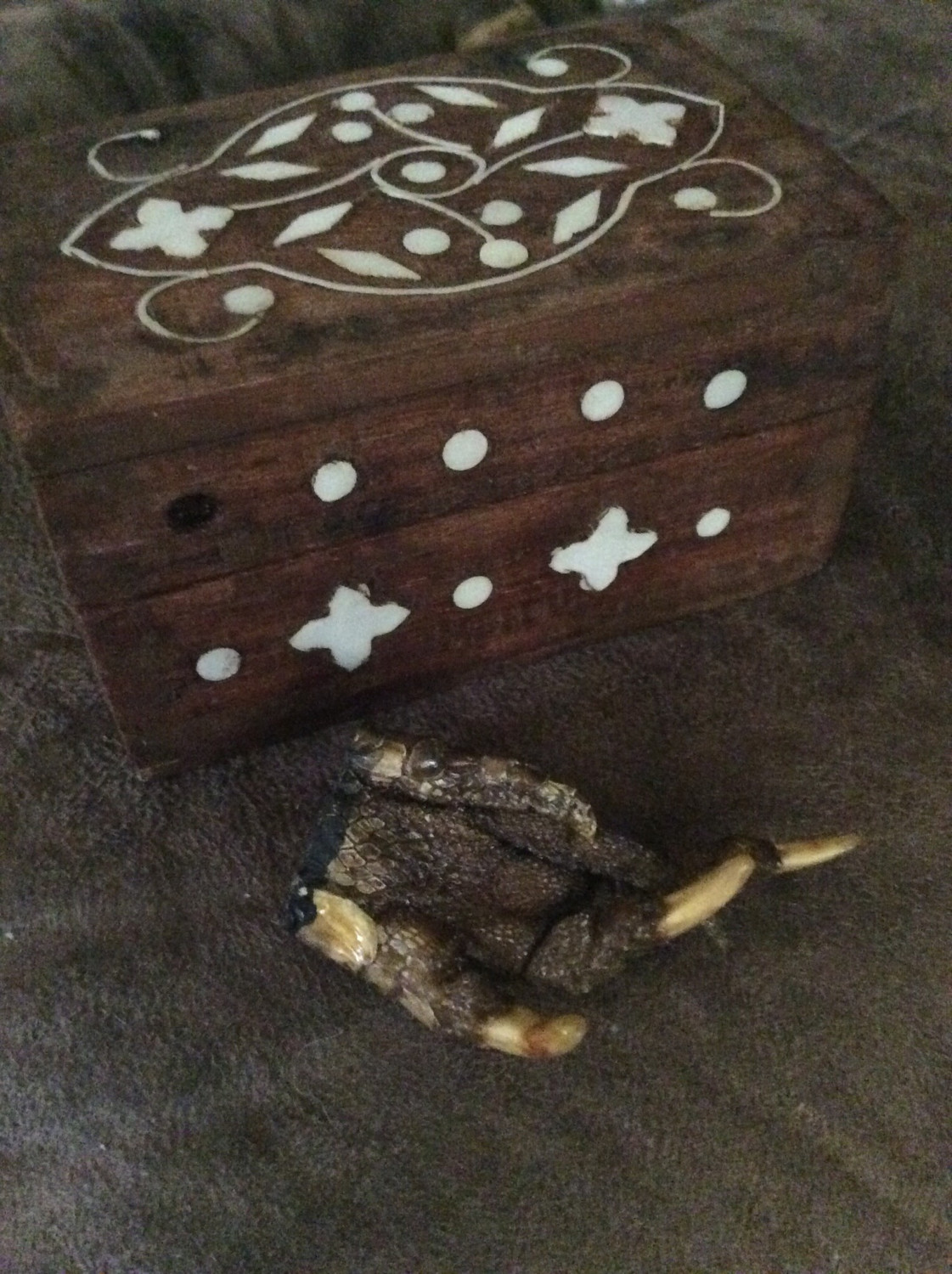 Alligator Claw In Small Wood Box To Send Any Curses Hexes Voodoo Cast Against Thee Back To The Sender