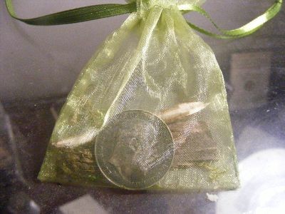 Enchanted coin promote financial blessings prosperity increase