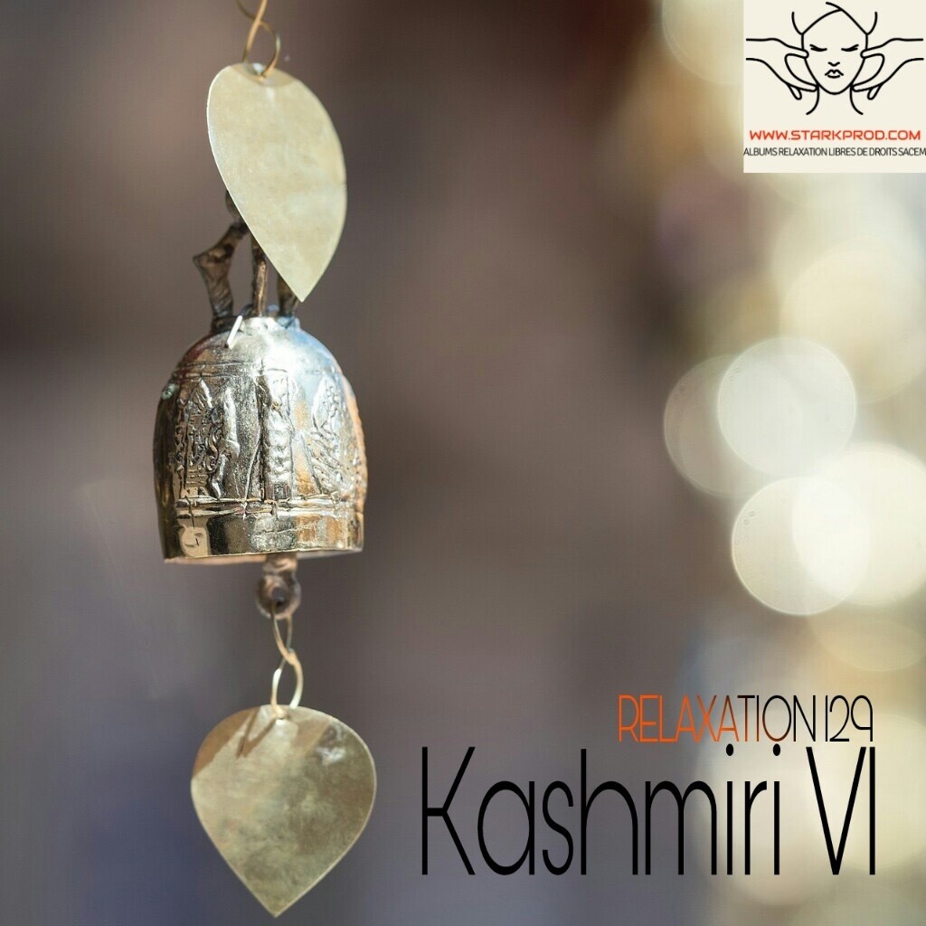 Album Relaxation N°129 Kashmiri VI  style Ayurvédique