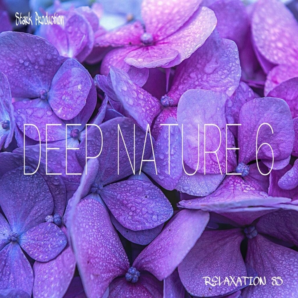Album Relaxation N°85 Deep Nature VI
