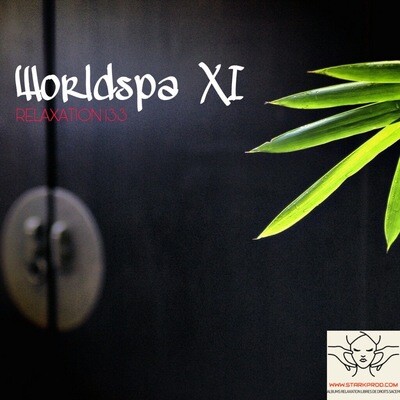 Album Relaxation N°133 WorldSpa XI style NewAge Worldmusic