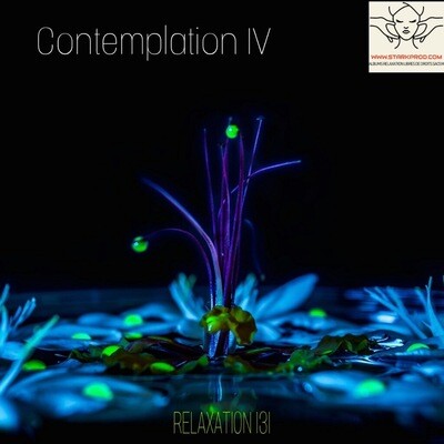 Album Relaxation N°131 Contemplation IV