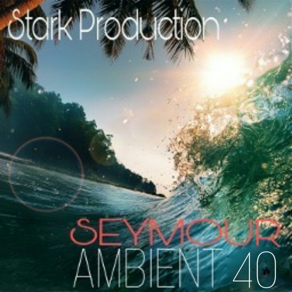 Album Ambient N°40 Seymour