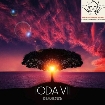 Album Relaxation N°136 Ioda VII style Sophro Méditation