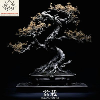 Album Relaxation N°153 盆栽 style Asie