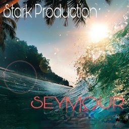 Album Ambient N°9 Seymour