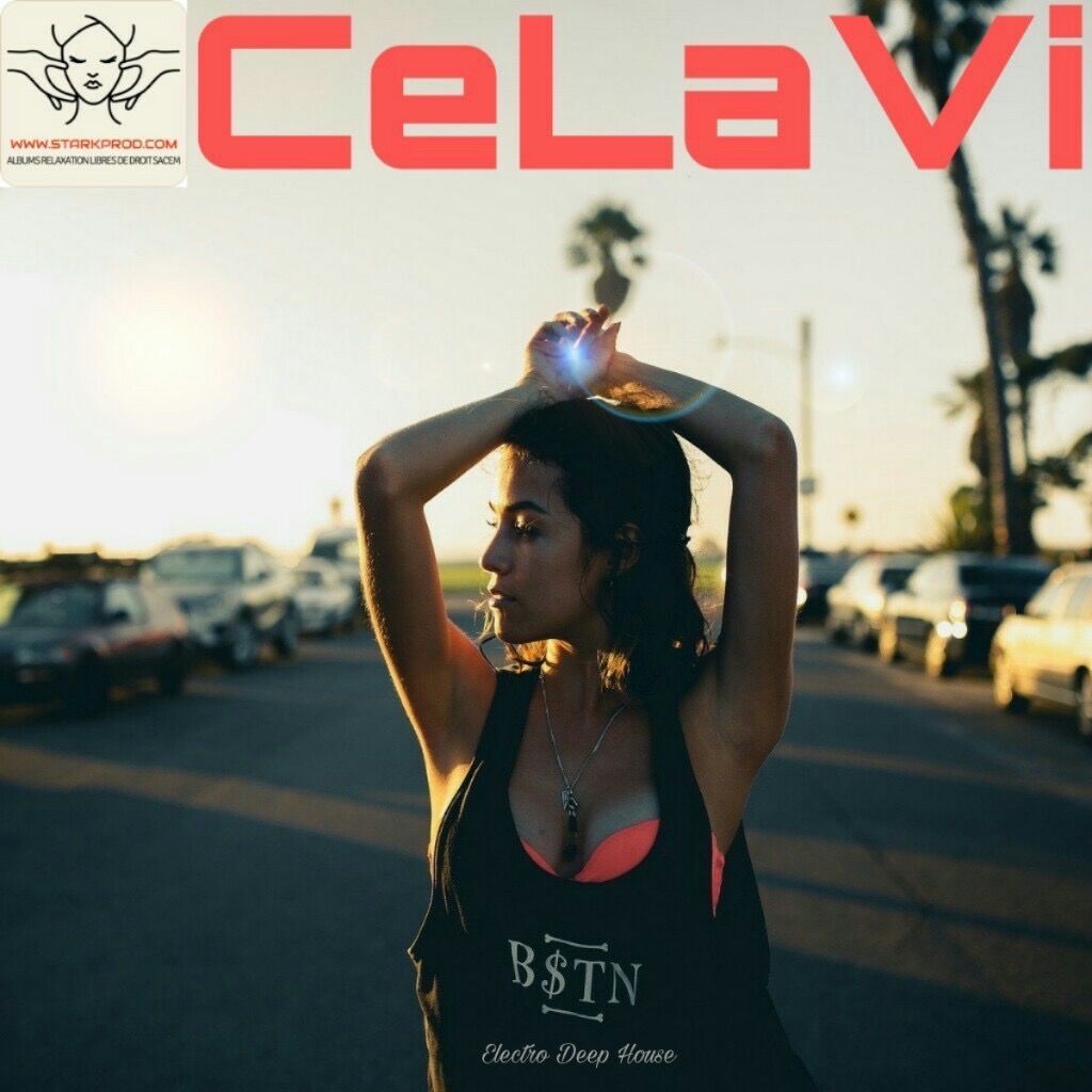 Album Electro Deep House 7 Celavi