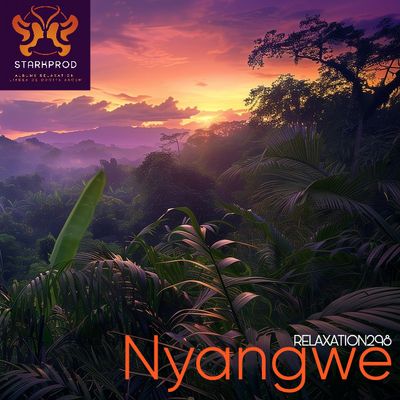 Album Relaxation N°298 Nyangwe Africa
