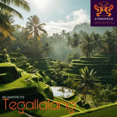 Album Relaxation N°372 Tegallalang style Balinais