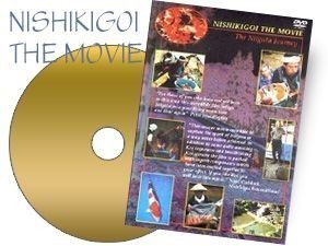 NISHIKIGOI THE MOVIE,THE NIIGATA JOURNEY
