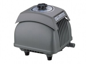QUARATINE #1 20/10 AND HAKKO 40 AIR PUMP