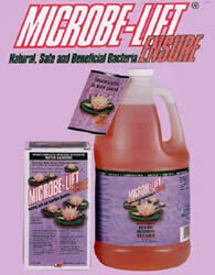 Ensure Gallon